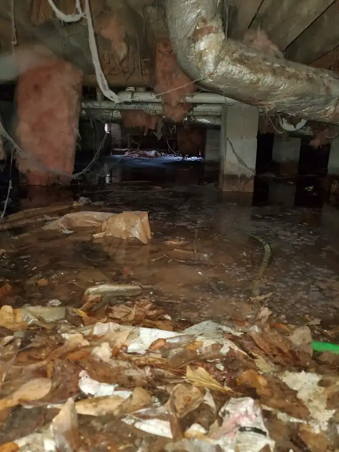 Crawl space flood assessment for Commercial Water Damage Restoration in Waipio Acres