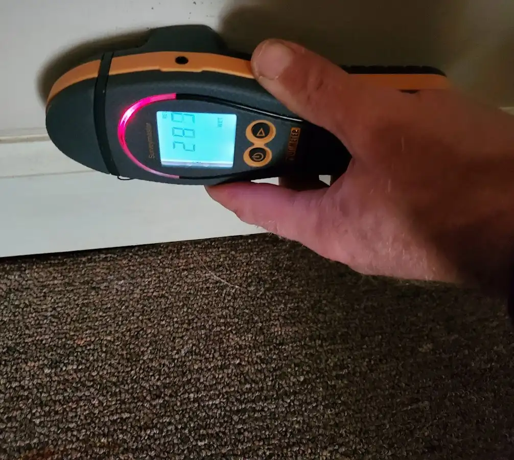 Moisture detection at baseboard during Burst Pipe Cleanup in Waipio Acres